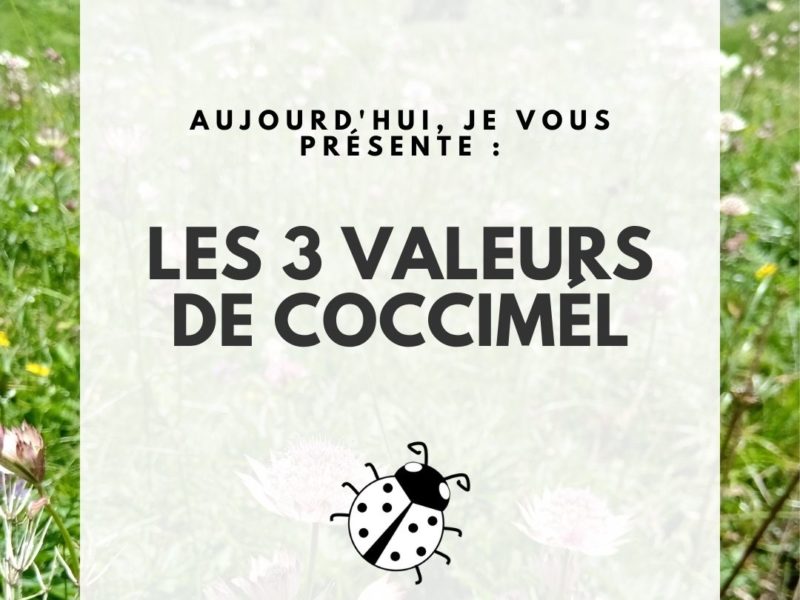 Les valeurs de CocciMél