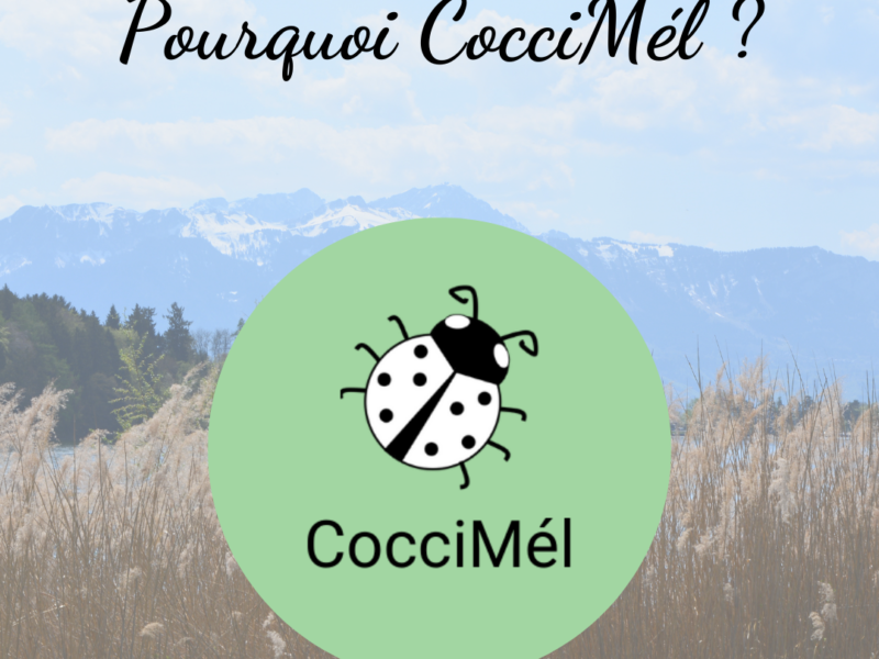 Pourquoi le nom « CocciMél » ?￼